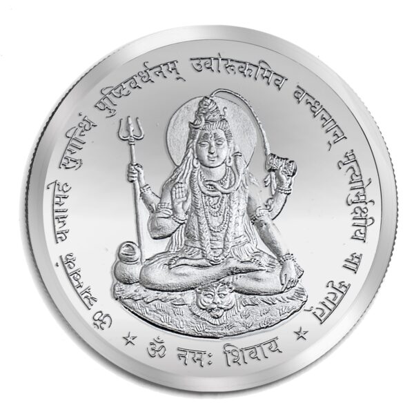 20gm silver coin